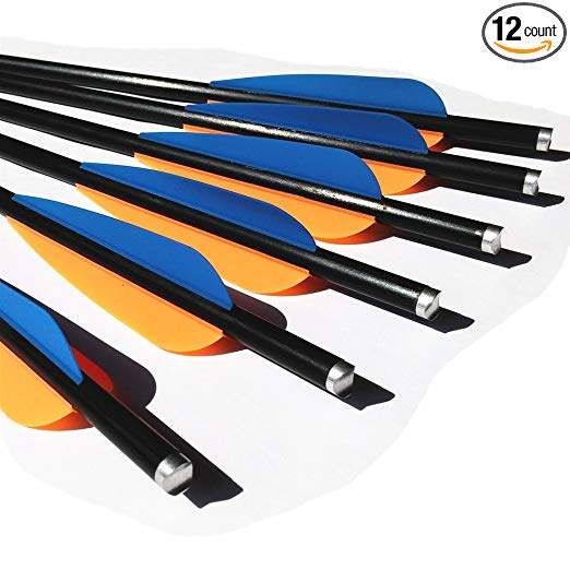 12 Pk Crossbow Bolts 20 Inch Fiberglass Hunting Arrows Fletched 4 Inch Vanes with Replaceable 100 Grain Screw-In Points and Aluminum Half Moon Nocks