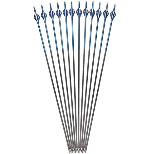 Ruixunte Mixed Carbon Shaft Arrows Spine 340 F 20-75 Pounds Compound&Recurve Bow(Pack of 12)