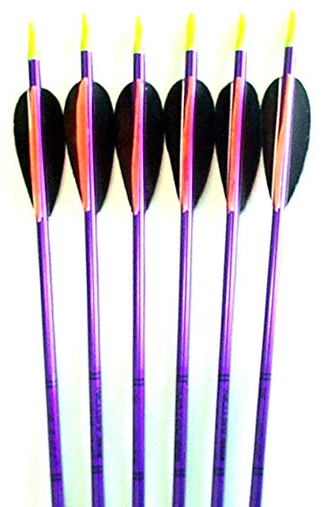 Feather Fletched Easton XX75 Jazz Aluminum Arrows 6-pack