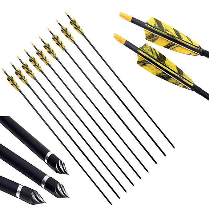 PG1ARCHERY 30 Inch Carbon Arrows with 4 Inch Shield Turkey Feathers Fletching & Removable Points Tips for Archery Hunting Practice Targeting, 6 Pack