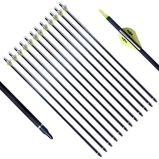 PG1ARCHERY Archery Target Carbon Arrows, 30 inch Practice Arrow 2