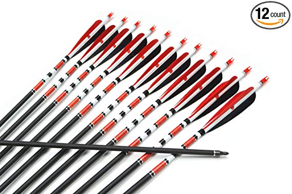 AC 12x New Carbon Arrows 31