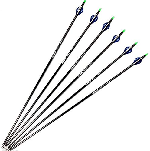 Ruixunte 30'' Archery Carbon Arrows Spine 340 OD 7.6 MM W Plastic Feather F Compound Bow(Pack of 6)