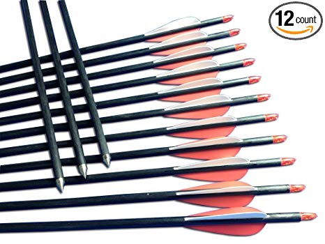 1 Dozen Carbon Composite Target Arrows 28 to 32