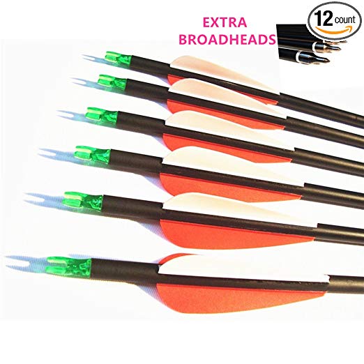 Fay Outdoor Sport 12pk 600 Spine Carbon Arrows Archery Hunting Targeting Arrow with 100 Grain Points for Compound Recurve and Long Bow with Extra Field Tips