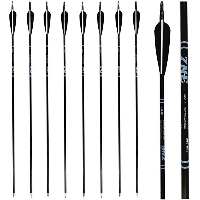 Zhan Yi Archery Carbon Fiber Hunting Arrows 350 Spine with Field Points for Compound Recurve Bows