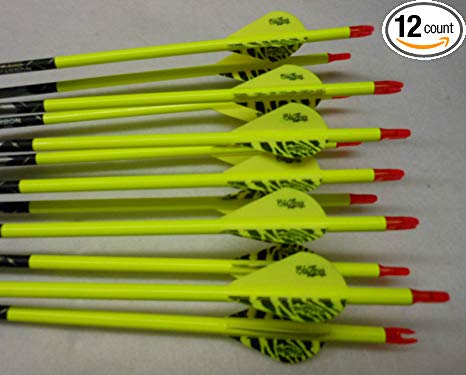 Gold Tip Hunter 5575/400 Carbon Arrows w/Blazer Vanes Pathfinder Wraps 1Dz.