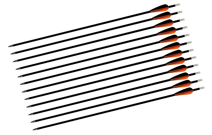 TTAD 12PCS 28-inch Carbon Arrows Hunting & Practice Archery for Compound Bow and Recurve with 100 Grain Replaceable Field Points Tips