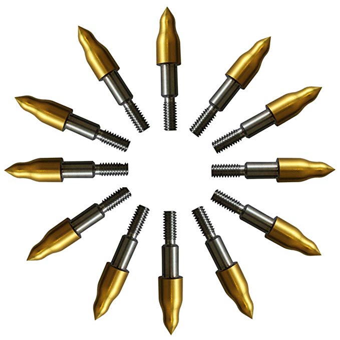 Bowcore Stainless Steel with Gold Plating,Various Sizes Screw Field Points 1 dozen (Gold)