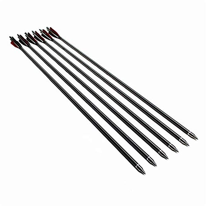 ZhanYi Fiberglass Archery Arrows for Practices and Target Shooting Screw-in Tips Fletching with Real Feathers for Compound and Recurve Bows