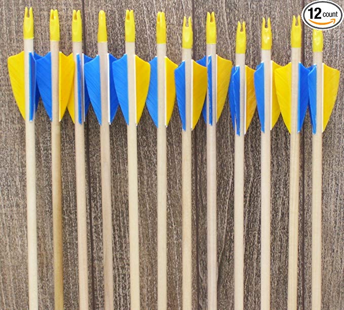 No frontiers archery economy arrows Youth Economy Wood Arrows yellow and blue (12)